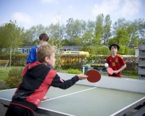 Tischtennisplatte